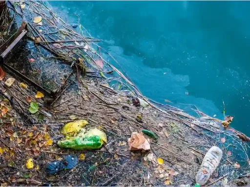 水面垃圾漂浮检测