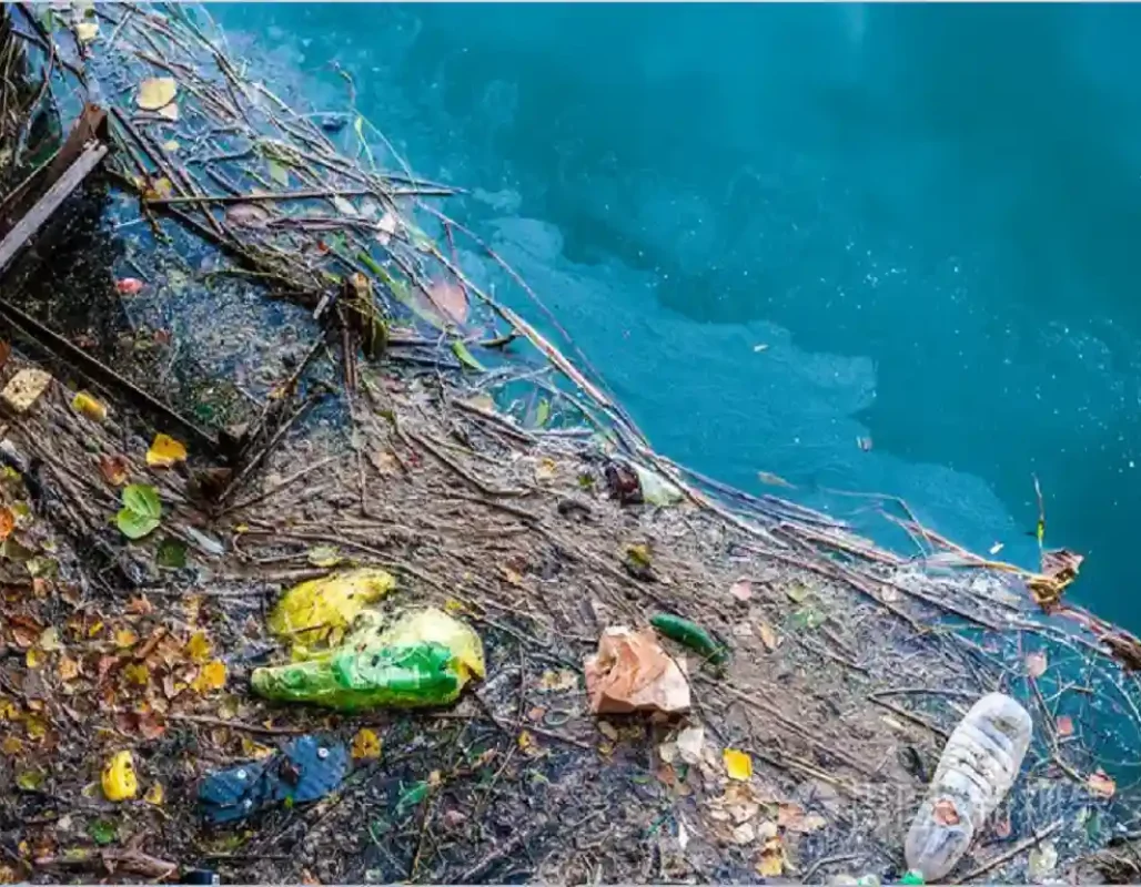 水面垃圾漂浮检测